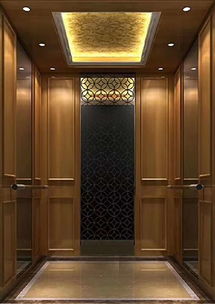 一站式簡易電梯生產廠家服務商 為家用電梯制造注入便捷與安心