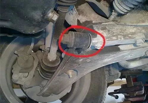 車輛保養盲區全解析 別讓細節成為安全隱患